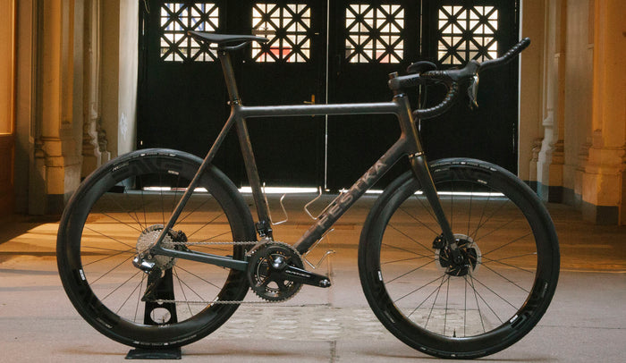 FESTKA ONE disc S.E.