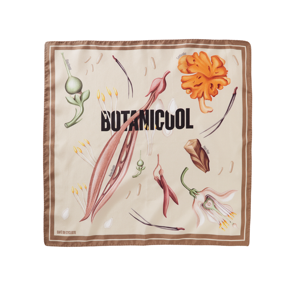 Carre_de_Soie_-_Silk_Neck_Scarf_-_Botanicool-1.png